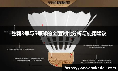 胜利3号与5号球的全面对比分析与使用建议